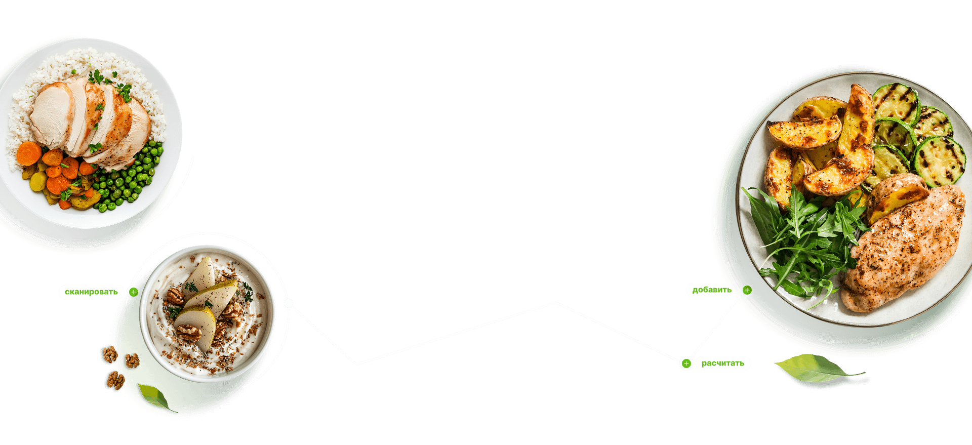 фоновая картинка